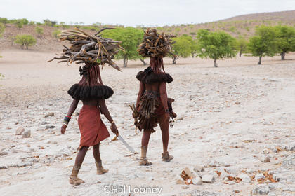 _LM45684 Himba Women with Firewood