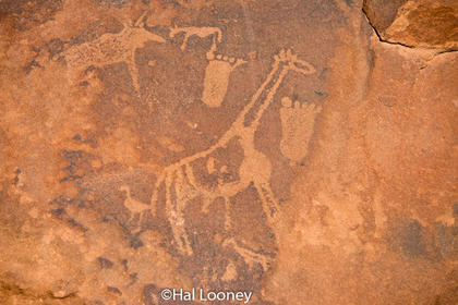 _LM45986 Petroglyph, Twyfelfontein