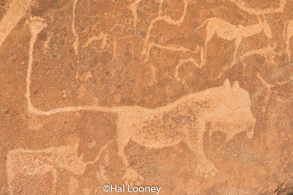 _LM46021 Lion Man Petroglyph