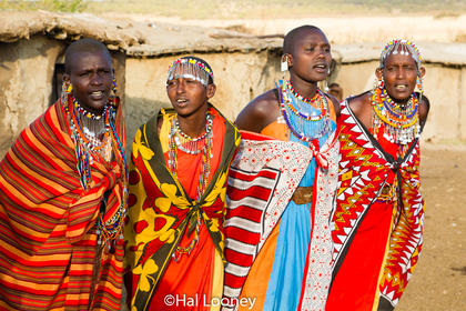 _59E1583 Maasai Village Women