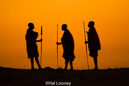 Warriors Maasai Mara