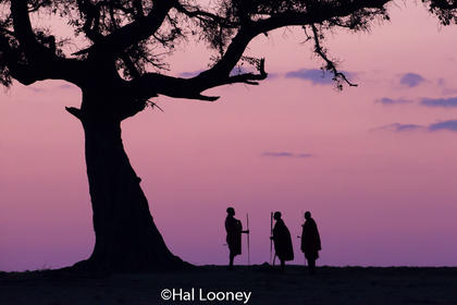 _F5U2794 Maasai Warriors at Sunrise
