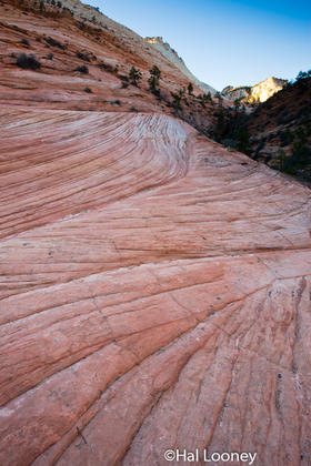 _061 Zion Red Rock