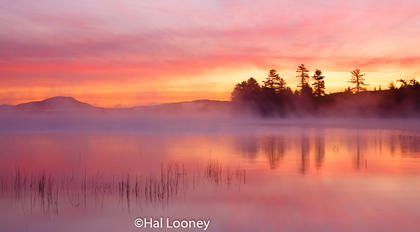 Fog in Early Light, Raquete Lake, Adirondacks