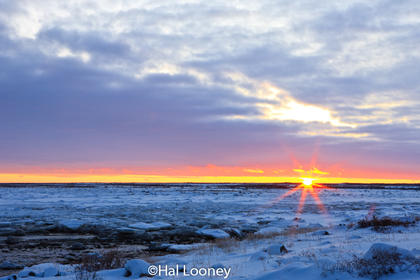 Sundown, Seal Lake, Sub-arctic